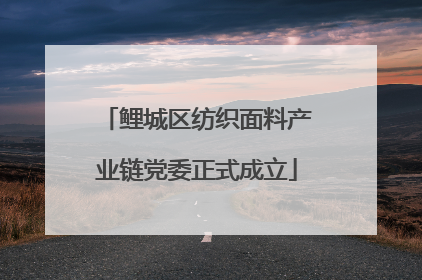 鲤城区纺织面料产业链党委正式成立