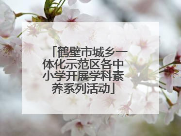 鹤壁市城乡一体化示范区各中小学开展学科素养系列活动
