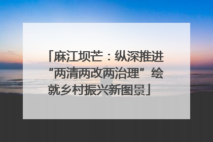 麻江坝芒：纵深推进“两清两改两治理”绘就乡村振兴新图景
