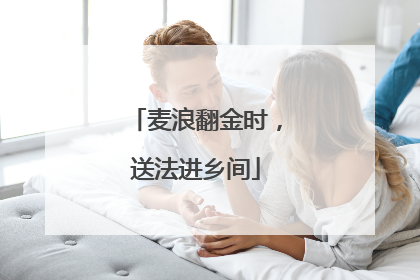 麦浪翻金时，送法进乡间