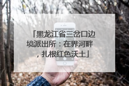 黑龙江省三岔口边境派出所：在界河畔，扎根红色沃土