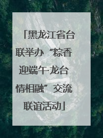 黑龙江省台联举办“粽香迎端午·龙台情相融”交流联谊活动