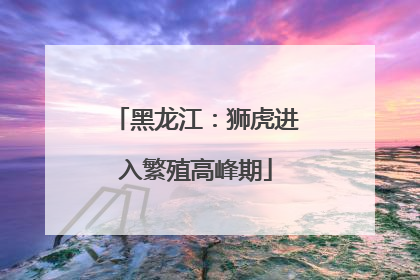 黑龙江：狮虎进入繁殖高峰期
