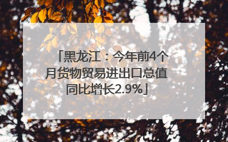 黑龙江：今年前4个月货物贸易进出口总值同比增长2.9%