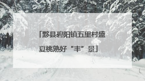 黟县碧阳镇五里村盛夏桃熟好“丰”景