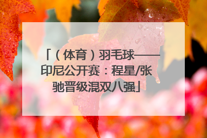 （体育）羽毛球——印尼公开赛：程星/张驰晋级混双八强