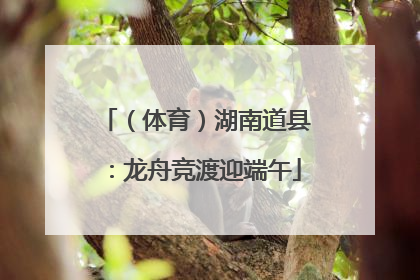 （体育）湖南道县：龙舟竞渡迎端午