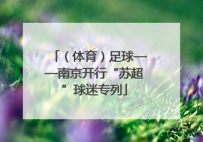 （体育）足球——南京开行“苏超”球迷专列