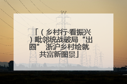 （乡村行·看振兴）毗邻统战破局“出圈” 浙沪乡村绘就共富新图景