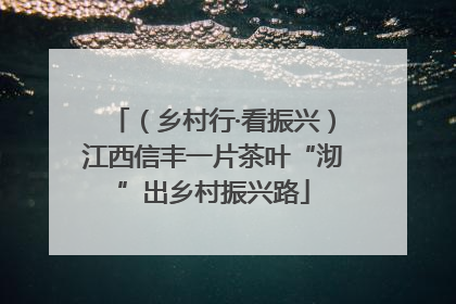 （乡村行·看振兴）江西信丰一片茶叶“沏”出乡村振兴路
