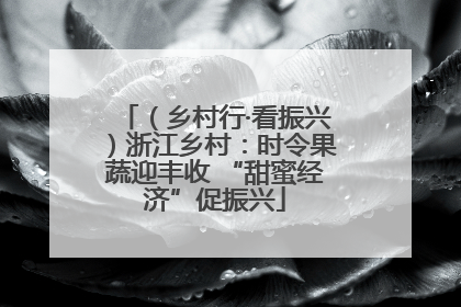 （乡村行·看振兴）浙江乡村：时令果蔬迎丰收 “甜蜜经济”促振兴