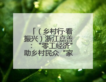 （乡村行·看振兴）浙江嘉善：“零工经济”助乡村民众“家门口”增收