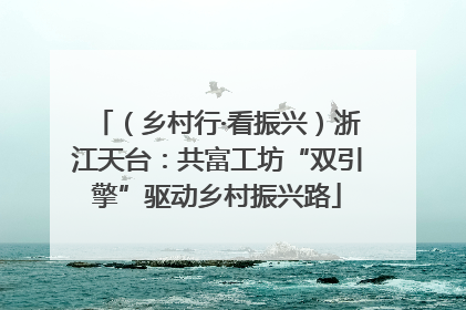 （乡村行·看振兴）浙江天台：共富工坊“双引擎”驱动乡村振兴路