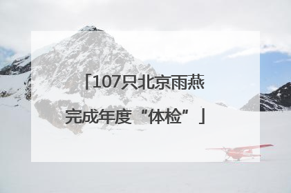 107只北京雨燕完成年度“体检”