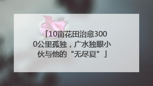 10亩花田治愈3000公里孤独，广水独眼小伙与他的“无尽夏”