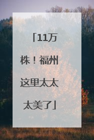 11万株！福州这里太太太美了