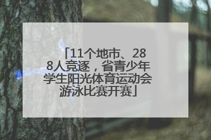 11个地市、288人竞逐，省青少年学生阳光体育运动会游泳比赛开赛