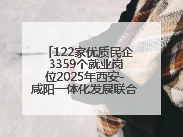 122家优质民企 3359个就业岗位2025年西安-咸阳一体化发展联合招聘会举办