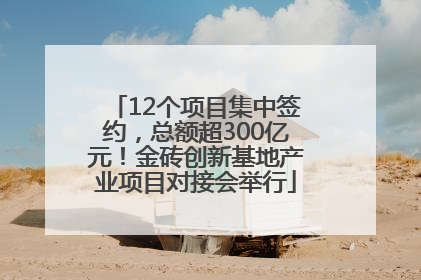 12个项目集中签约，总额超300亿元！金砖创新基地产业项目对接会举行