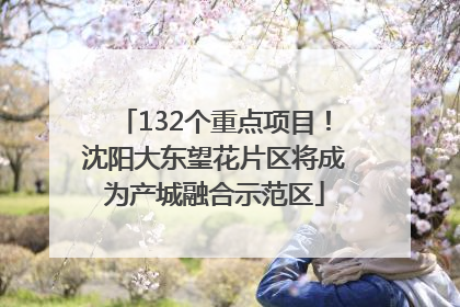 132个重点项目！沈阳大东望花片区将成为产城融合示范区