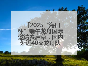 2025“海口杯”端午龙舟国际邀请赛启幕，国内外近40支龙舟队竞逐海甸溪