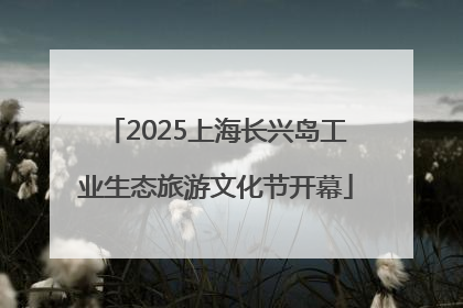 2025上海长兴岛工业生态旅游文化节开幕