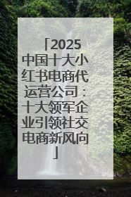 2025中国十大小红书电商代运营公司：十大领军企业引领社交电商新风向