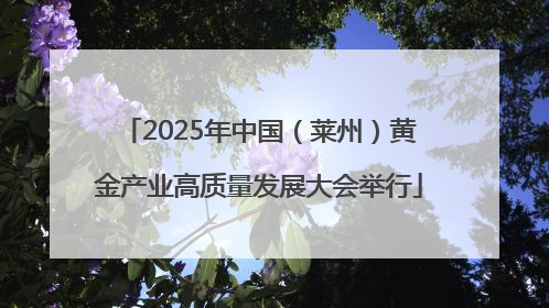 2025年中国（莱州）黄金产业高质量发展大会举行