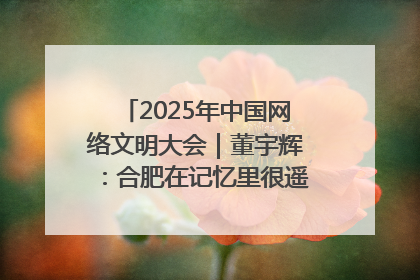 2025年中国网络文明大会｜董宇辉：合肥在记忆里很遥远也很亲切
