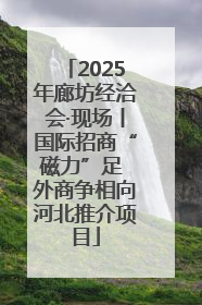 2025年廊坊经洽会·现场丨国际招商“磁力”足 外商争相向河北推介项目