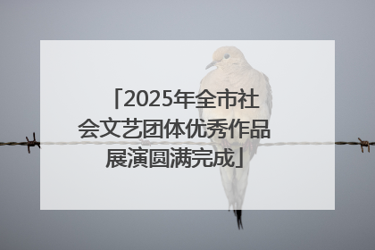 2025年全市社会文艺团体优秀作品展演圆满完成
