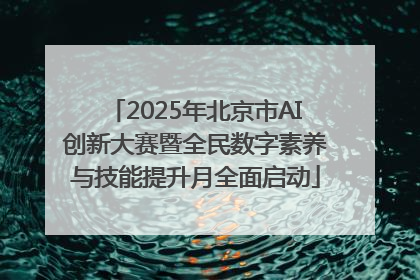 2025年北京市AI创新大赛暨全民数字素养与技能提升月全面启动