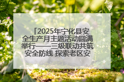 2025年宁化县安全生产月主题活动圆满举行——三级联动共筑安全防线 探索老区安全发展新路径
