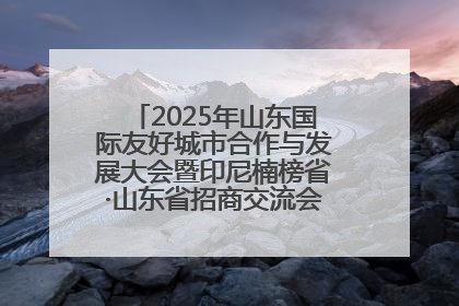 2025年山东国际友好城市合作与发展大会暨印尼楠榜省·山东省招商交流会在济南槐荫举行