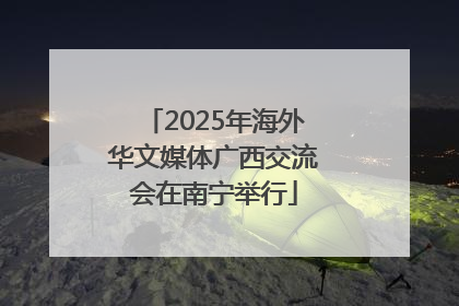 2025年海外华文媒体广西交流会在南宁举行