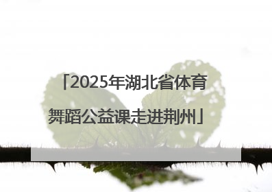 2025年湖北省体育舞蹈公益课走进荆州