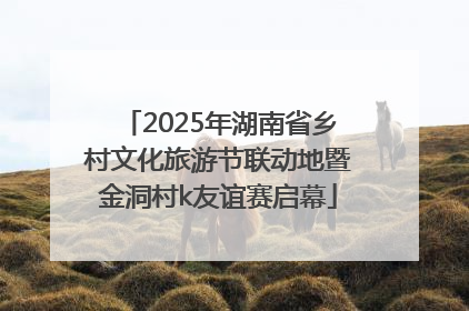 2025年湖南省乡村文化旅游节联动地暨金洞村k友谊赛启幕