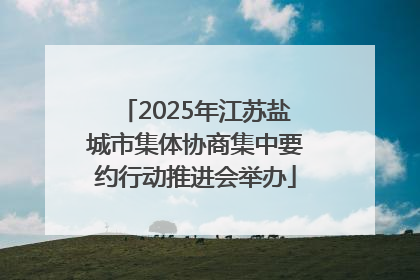 2025年江苏盐城市集体协商集中要约行动推进会举办