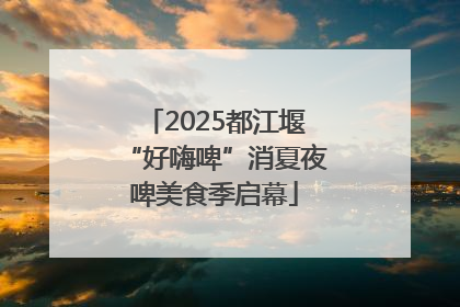 2025都江堰“好嗨啤”消夏夜啤美食季启幕