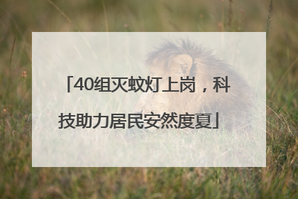 40组灭蚊灯上岗，科技助力居民安然度夏