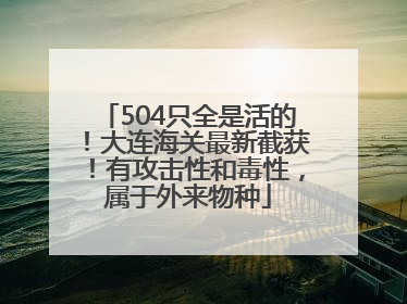504只全是活的！大连海关最新截获！有攻击性和毒性，属于外来物种