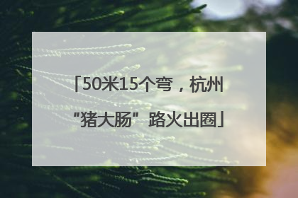 50米15个弯，杭州“猪大肠”路火出圈