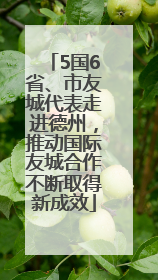 5国6省、市友城代表走进德州，推动国际友城合作不断取得新成效