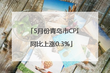 5月份青岛市CPI同比上涨0.3%