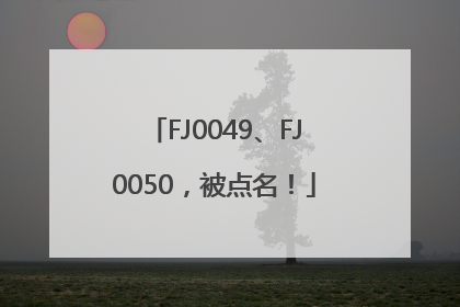 FJ0049、FJ0050，被点名！