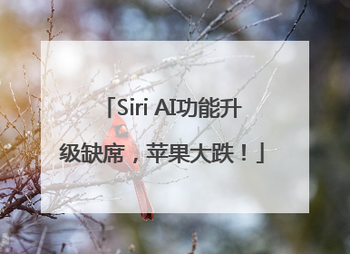 Siri AI功能升级缺席，苹果大跌！